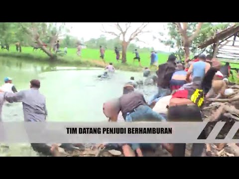 judi sabung ayam online